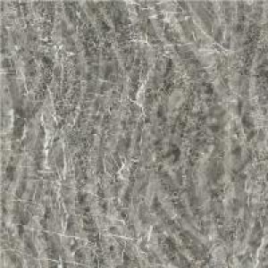 Gạch lát sàn Trường Thịnh MIXSTONE ZP6003